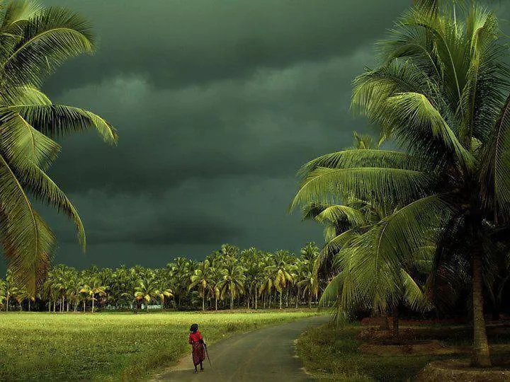 ***  Hotel Oceana Hills Residency Alappuzha India